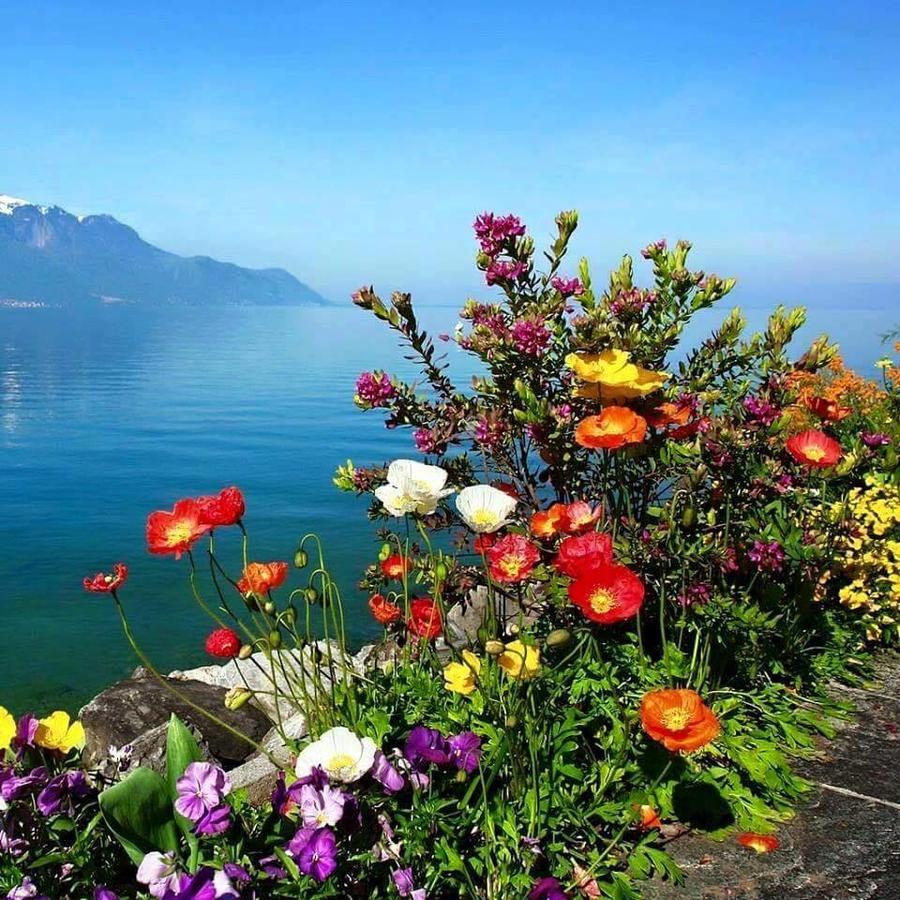 Gozde Deniz Boutique Hotel Бодрум Экстерьер фото